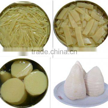 Canned Bamboo Shoot in tin with factory price