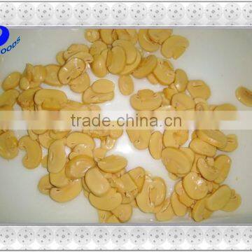 Canned Sliced Champignon in Brine Best Quality