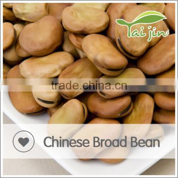 Free Sample Organic Broad Bean