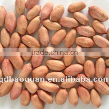 Chinese New Crop Peanuts (24/28)