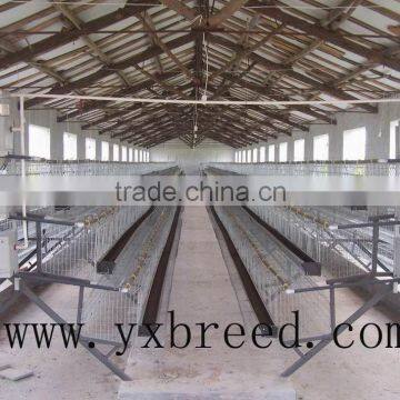 layer chicken cages