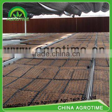 High Qualified Seeded Benching System in Greenhouse photo-2