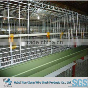 High quality welded wire design layer chicken cage for poultry farm