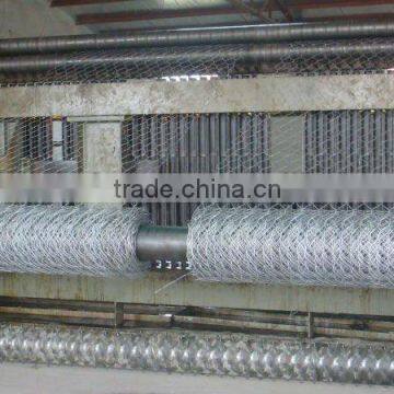 chicken coop hexagonal wire mesh