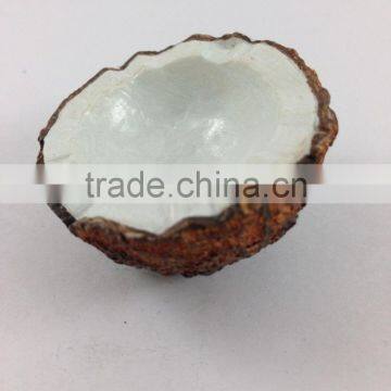 COCONUT FRUIT MAGNET RESIN 3D FRIDGE MAGNET SOUVENIR photo-4
