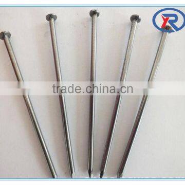 China Common Iron Nails/galvanized or Polished Common Wire Nails photo-5