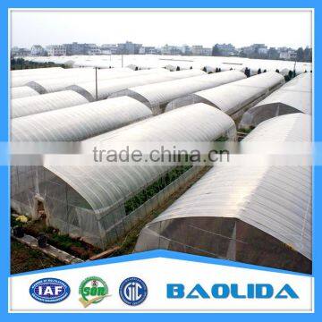 Agriculture Tunnel Plastic Tomato Commercial Greenhouse photo-4