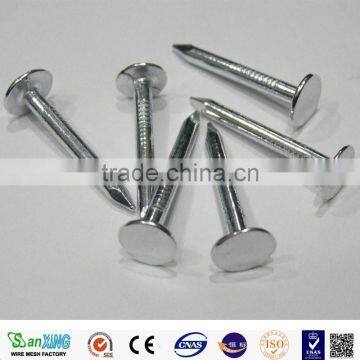 Sanxing Common Nail One of Biggest Manufacturer in Anping photo-2