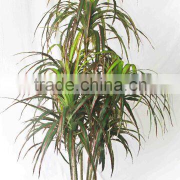 Home Decorative Plastic Plants Artificial Bonsai Tree photo-2