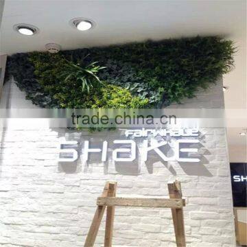2017 China Wholesale China PVC Vertical Green Wall and Plant Wall photo-4