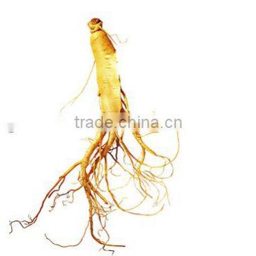 Chinese Ginseng Slimming Tea 2g *20 Bags /box Green Tea With Ginseng Slimming Tea Bags OEM to USA England Canada Australia photo-3