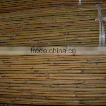 Drilled Bamboo Fence photo-5