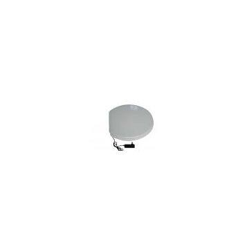 Toilet Seat