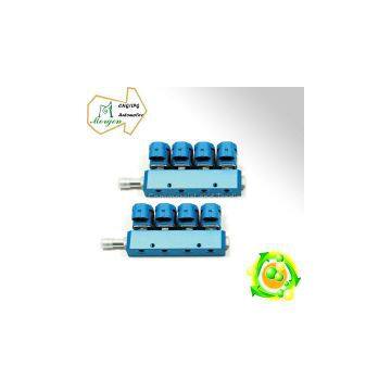 CNG LPG Autogas 8 cylinder injection rail