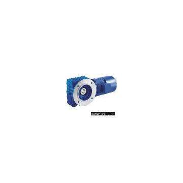 Worm Gear Reducer