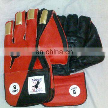 Wicket Keeping Gloves