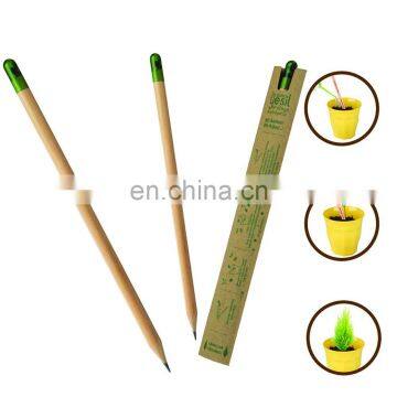 new wood flower fruit grass sprout growing pencil with seeds