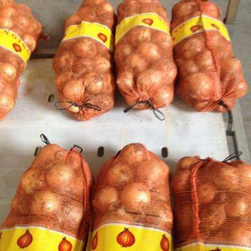 Fresh Yellow Onion in 25kg/Mesh Bag photo-5