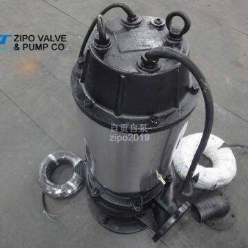 ZIPO Brand ZWQ Type Cast Iron Submersible Sewage Pump photo-5