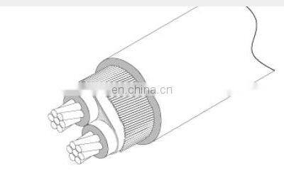 China Best Price BS7870 PVC Concentric Cable photo-5