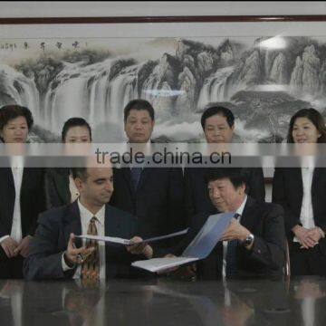 PCC Type Hammer Crusher