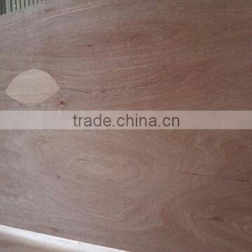 Plywood Sheet photo-3