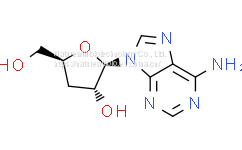 Cordycepin 98% HPLC