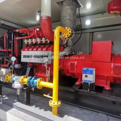 Clean Energy CNG LNG LPG Methane Gas Engine Generator Price