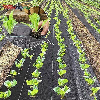 Wandafu PE Woven Control Mat Landscape Fabric For Agriculture Farm