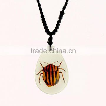 New Fashion Lovely Necklace With Real Insect photo-4