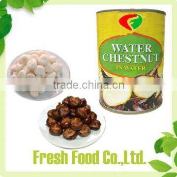 Canned water chestnut whole