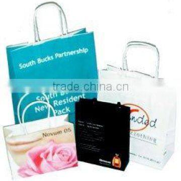 2011 Luxury paper bags