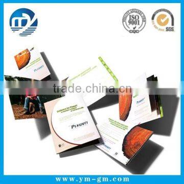 Full Color Customized Cheap Brochure Printing