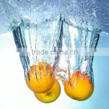 Fruit & Vegetable Processing Machines Industrial Fruit Brush Roller For Potato Washing Machine photo-3
