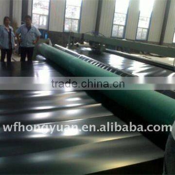HDPE Geommebrane Pond Liner - Popular in Singapore