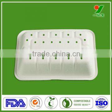 Quality assure 100% sugarcane fiber biodegradable dry fruit packing tray