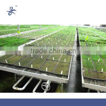 Agriculture Seed Bed for Vegetable Greenhouse