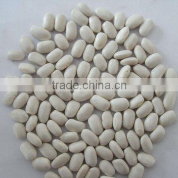 Japanese type white kidney beans