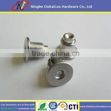 Inox 304/316 Stainless Steel Solid Rivet for Furniture