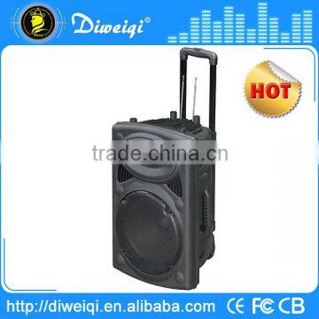 Customizable high powered stereo portable speaker with 15 inch tweeter