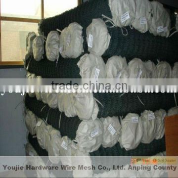 hot sale chain link wire mesh