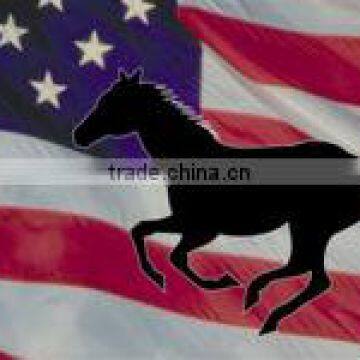 Galloping Horse Silhouette Mustang on US Flag Photo License Plate