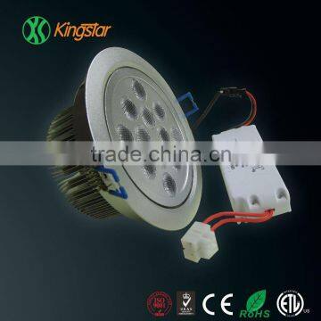 12W LED down light