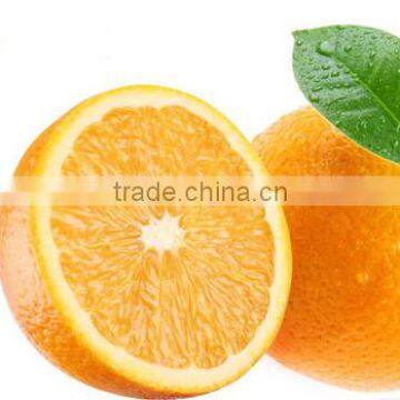 Cast Aluminum Lemon Squeezer Citrus Juicer Juice Maker Aluminum photo-5