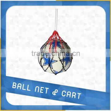 Ball carrying net