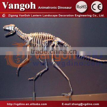 VGS155-museum dinosaur skeleton replica for sale