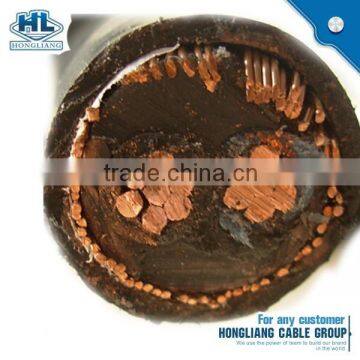 XLPE insulation aluminum / copper shield 2 core 10mm2 concentric cable