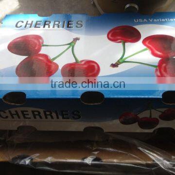 Bagged 18 Degree Sugar Content of China Fresh Cherries photo-6
