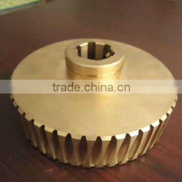 High quality large mould turned standard worm gear