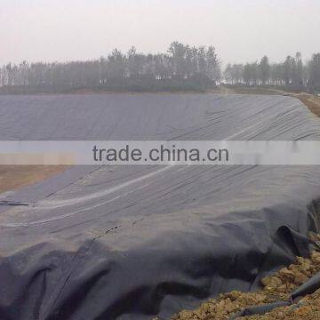Grey Color 200g/sqm pe Canvas Tarpaulin Roll for Truck/boat Cover photo-4
